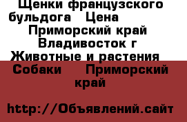 Щенки французского бульдога › Цена ­ 15 000 - Приморский край, Владивосток г. Животные и растения » Собаки   . Приморский край